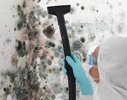 Environmental Consulting for Mold Prevention in Spartanburg, SC